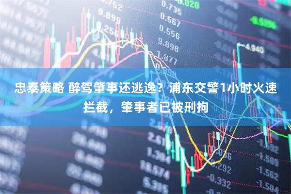 忠泰策略 醉驾肇事还逃逸？浦东交警1小时火速拦截，肇事者已被刑拘