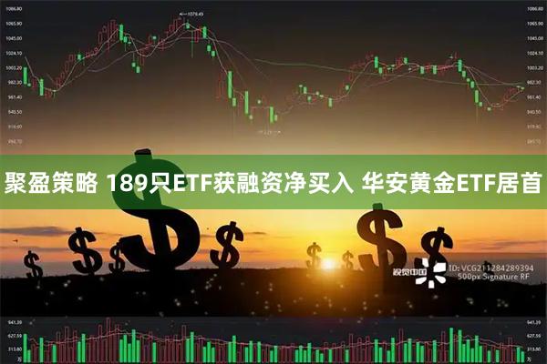 聚盈策略 189只ETF获融资净买入 华安黄金ETF居首