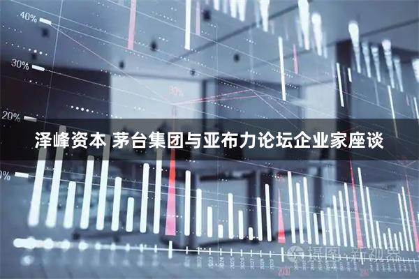 泽峰资本 茅台集团与亚布力论坛企业家座谈