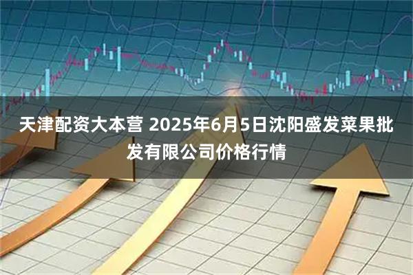 天津配资大本营 2025年6月5日沈阳盛发菜果批发有限公司价格行情