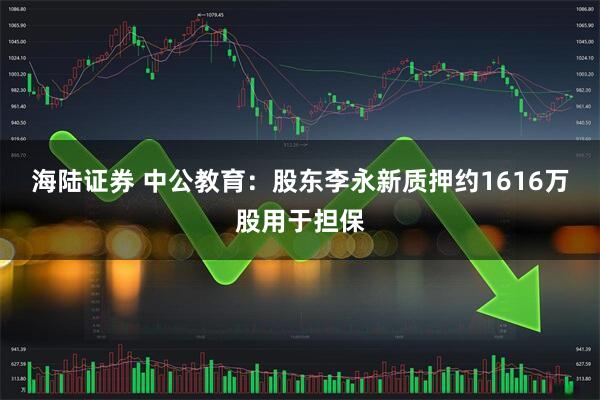 海陆证券 中公教育：股东李永新质押约1616万股用于担保