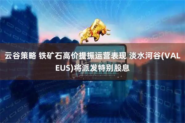 云谷策略 铁矿石高价提振运营表现 淡水河谷(VALEUS)将派发特别股息