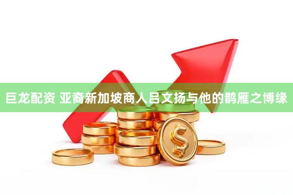 巨龙配资 亚裔新加坡商人吕文扬与他的鹊雁之博缘