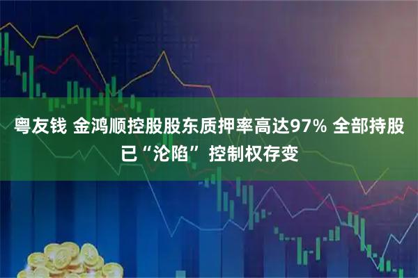 粤友钱 金鸿顺控股股东质押率高达97% 全部持股已“沦陷” 控制权存变